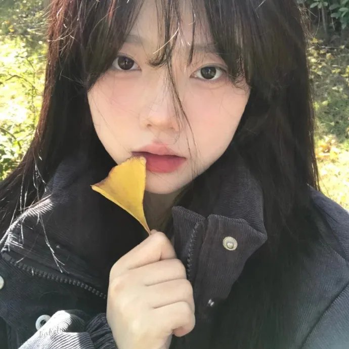 哈喽!有事吗